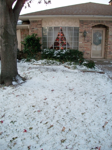 Texas White Christmas